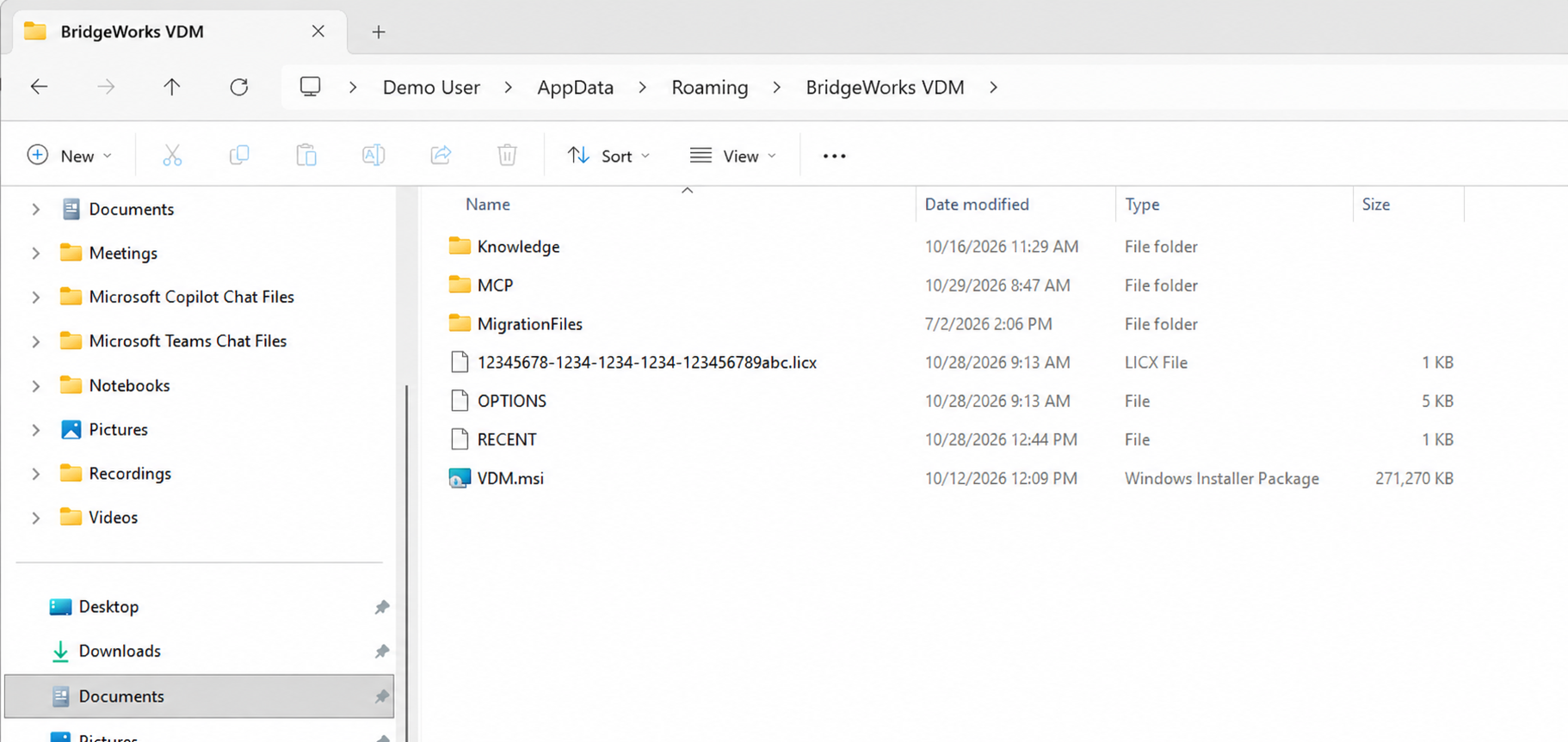 Demo VDM AppData folder showing MCP and an Application ID-based .licx license file